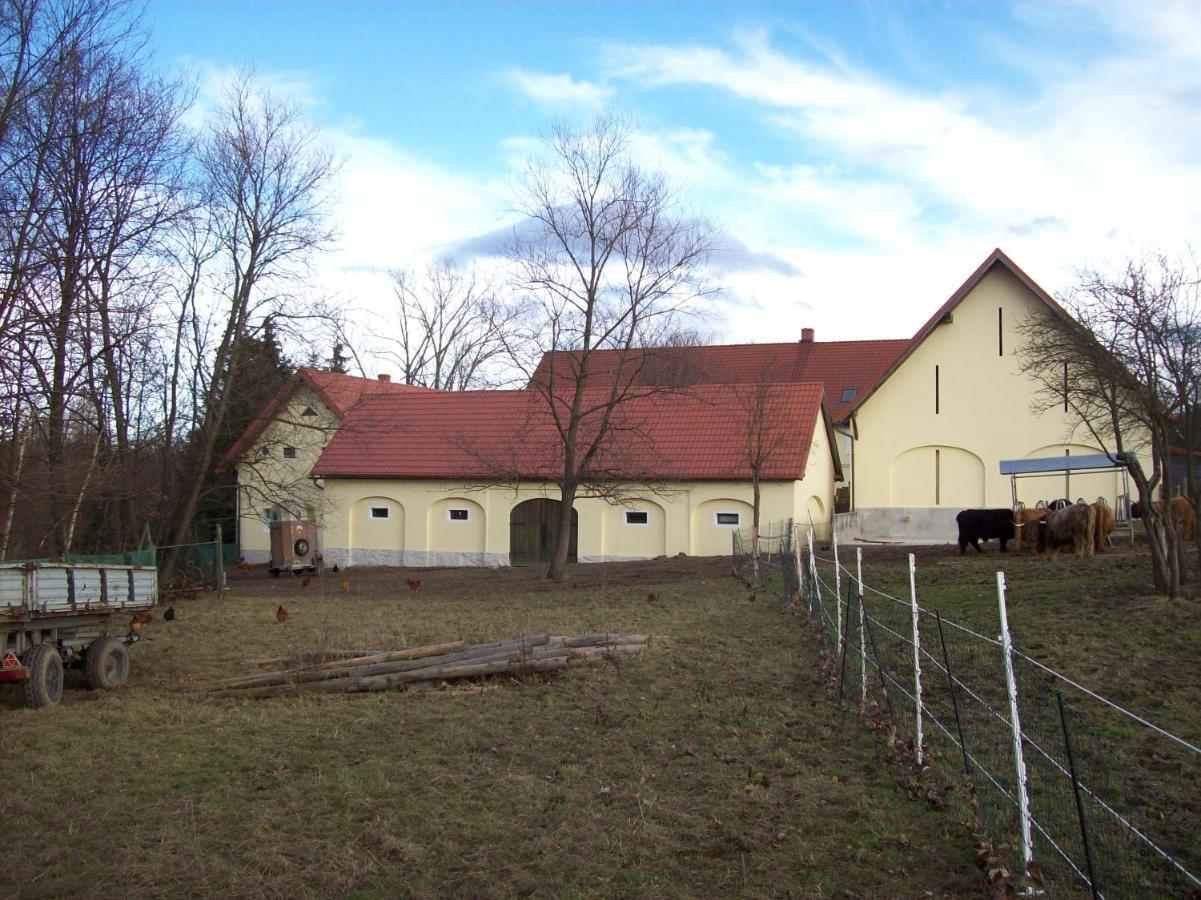 Jaworowa Zagroda Domaszkow 外观 照片